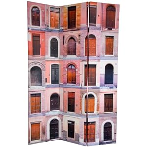 Unusual Distinctive Unique Interesting - 6 ft. Tall Double Sided Doors Canvas Room Divider