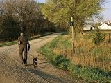 A Man and Dog Walk Along the Road Near Historic Stevens Creek Farm Photographic Poster Print by Joel Sartore, 48x36