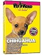 CHIHUAHUA DVD: Everything You Should Know!  Dog & Puppy Training Bonus Included