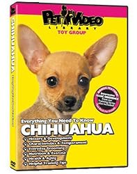 CHIHUAHUA DVD: Everything You Should Know!  Dog & Puppy Training Bonus Included
