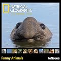 2013 NG Funny Animals Mini Grid Calendar