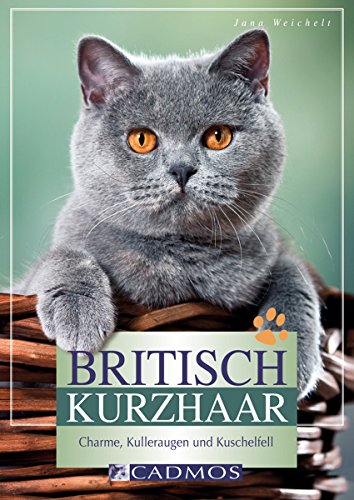 Britisch Kurzhaar: Charme, Kulleraugen und Kuschelfell (Cadmos Heimtierpraxis) (German Edition)