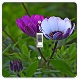 Rikki Knight Purple White Crocus Flowers-Single Toggle Light Switch Plate