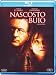 Nascosto Nel Buio