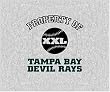 Biederlack Property of Devil Rays Sweatshirt Throw