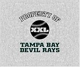 Biederlack Property of Devil Rays Sweatshirt Throw