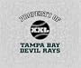 Biederlack Property of Devil Rays Sweatshirt Throw