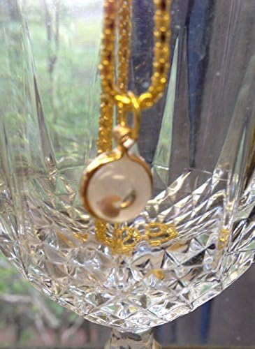 Dorothysgift Mustard Seed on 20" Gold Plated Chain with Scripture Card Matthew 17:20 Paraphrased. 3rd Pic Has Verse Free 1st Class shippinigg