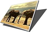 Laptop-Screen.co.uk DELL LATITUDE D620 14 INCH WIDE WXGA 14'' LCD SCREEN