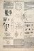 Aphis Vastator Insects Potatoes Larva Old Print 1874