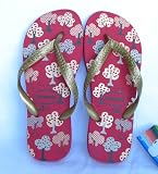 Havaianas Flip Flops Slippers * Green Nature -- Cherry * 09 Collection !!