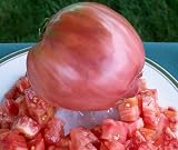 Pink-rote, süße, sehr gehaltvolle Riesen-Fleischtomate - bis 1,5 kg schwer - Ochsenherz - 10 Samen