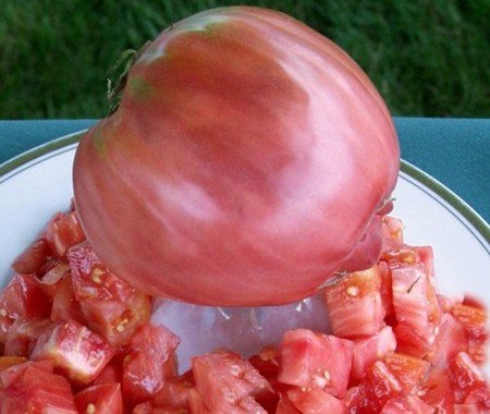 Pink-rote, süße, sehr gehaltvolle Riesen-Fleischtomate - bis 1,5 kg schwer - Ochsenherz - 10 Samen