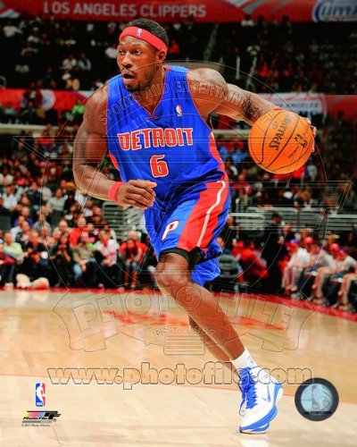 Ben Wallace - Detroit Pistons 2010-11 Action - NBA 8x10 Photo