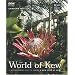 The World of Kew (A New Year at Kew)