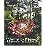 The World of Kew (A New Year at Kew)