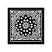 Rothco 4143: Trainmen Paisley Bandana - 22