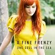 One Cell in the Sea