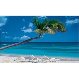Beach Wall Mural - 8'3