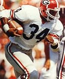 HERSCHEL WALKER GEORGIA BULLDOGS 8X10 SPORTS ACTION PHOTO (1)