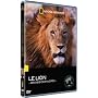 National Geographic - Grands carnivores : le lion 