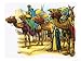 Camel Train of North Africa Art Giclee Poster Print by Nadir Quinto, 24x18