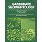 Carbonate Sedimentology