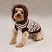 Zack & Zoey - Zig Zag Striped Hoodie - Size: Medium - Color: Brown