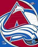 Colorado Avalanche 2011 Team Logo Poster (8.00 x 10.00)