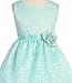 Little Girls Adorable Lace Overlay Spring Summer Flowers Girls Dresses