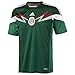 adidas Men's Mexico Home Jersey 2013/14