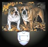 Review Decoration Sensation  / Bulldogs Decorative Night Light