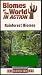 Biomes of the World in Action Video Series: Rainforest Biomes (Video Only, Teacher Guide Not Included) Grades 5-8