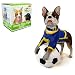 Search : House Dog Style Trading Figure (One Random Figure) [Toy]
