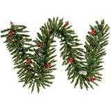 9' Pre-Lit Frosted Edina Fir Christmas Garland - Multi Color Outdoor Lights
