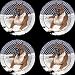 Thirstystone Coaster Companions - Boxer