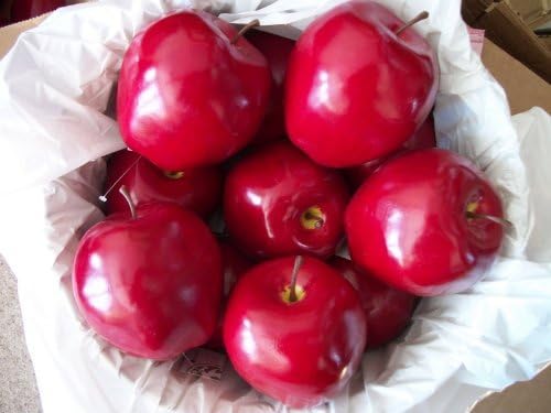 Akasha 10-Piece Decorative Red Apples