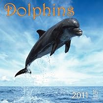 2011 Dolphins Calendar 2011 Dolphins Calendar