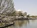 Jefferson Memorial in Spring with Cherry Blossoms Photograph - Beautiful 16"x20" Photographic Print by Carol M. Highsmith