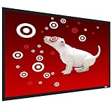 Screen Innovations 92 Fixed Projector Screen- Matte White(TZ92)