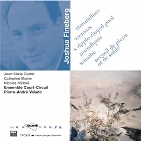 Fineberg-Streamlines tremors a ripple-Ringed pool breathepar adigms...-Court-Circuit
