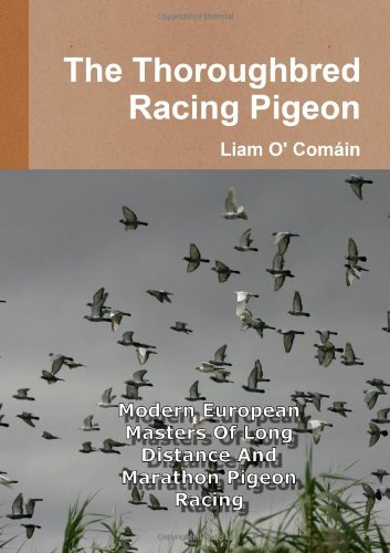The Thoroughbred Racing Pigeon