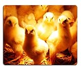 Mousepads Baby Chickens IMAGE ID 20395578 by Liili Customized Mousepads Stain Resistance Collector Kit Kitchen Table Top Desk Drink Customized Stain Resistance Collector Kit Kitchen Table Top Desk