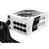 NZXT HALE90 80 Plus Gold 650 Watt Power Supply with Modular Cable HALE90-650-M (White)