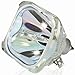 Hitachi 60V500A Bare Lamp UX21511