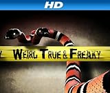 More Fat Animals [HD]