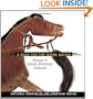Song for the Horse Nation: Horses in Native American Cultures