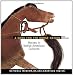 Song for the Horse Nation: Horses in Native American Cultures