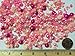 PEPPERLONELY Brand 50 Grams (Apprx 1200PC + ) Shades of Pink Mixed Size Acrylic Cabochons Flat Back Pearls