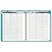 AT-A-GLANCE Professional Weekly / Monthly Appointment Book 2016, Suzani, 8.5 x 11 Inches, Turquoise (917P-905)